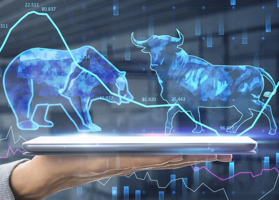Challenges in Holding a Direct Equity Portfolio